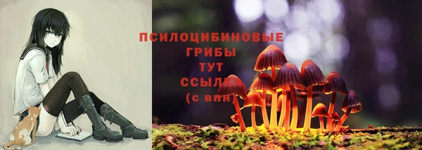 ГАЛЛЮЦИНОГЕННЫЕ ГРИБЫ Коряжма