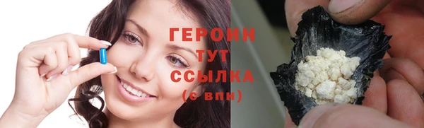 крисы Корсаков