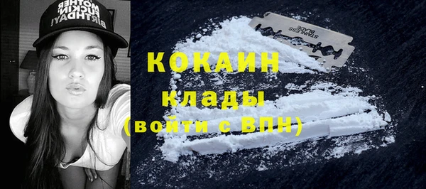 ГАЛЛЮЦИНОГЕННЫЕ ГРИБЫ Коряжма