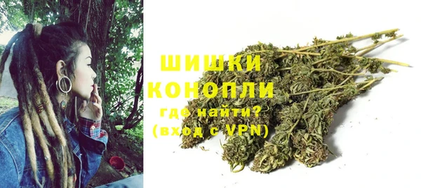 крисы Корсаков