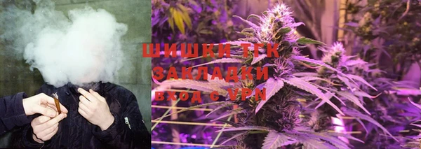 крисы Корсаков