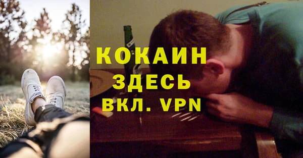 крисы Корсаков