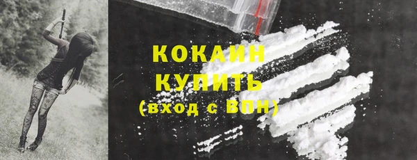 крисы Корсаков