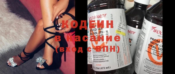 крисы Корсаков